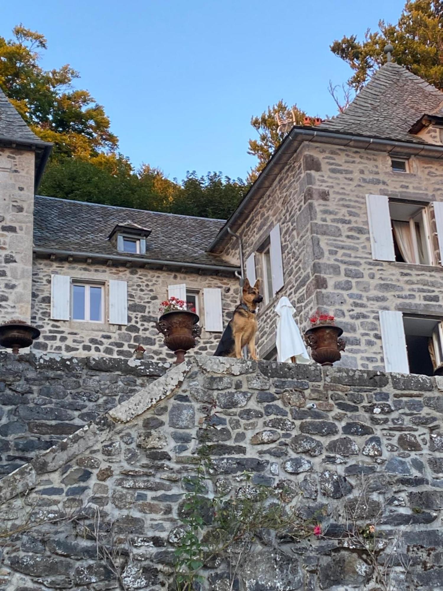 Chateau Du Puech Curieres Exterior photo